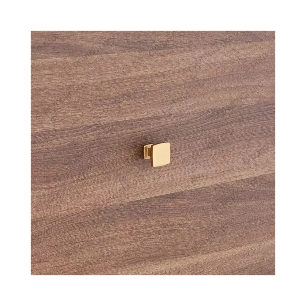 WPO.780-000-00F3 ΠΟΜΟΛΑΚΙΑ ΕΠΙΠΛΩΝ ΧΡΥΣΟ ΜΑΤ ΠΑΤΙΝΑ