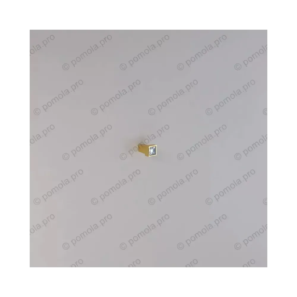 WPO.550-000-00GP ΠΟΜΟΛΑΚΙΑ ΜΕ ΚΡΥΣΤΑΛΟ ΕΠΙΧΡΥΣΑ
