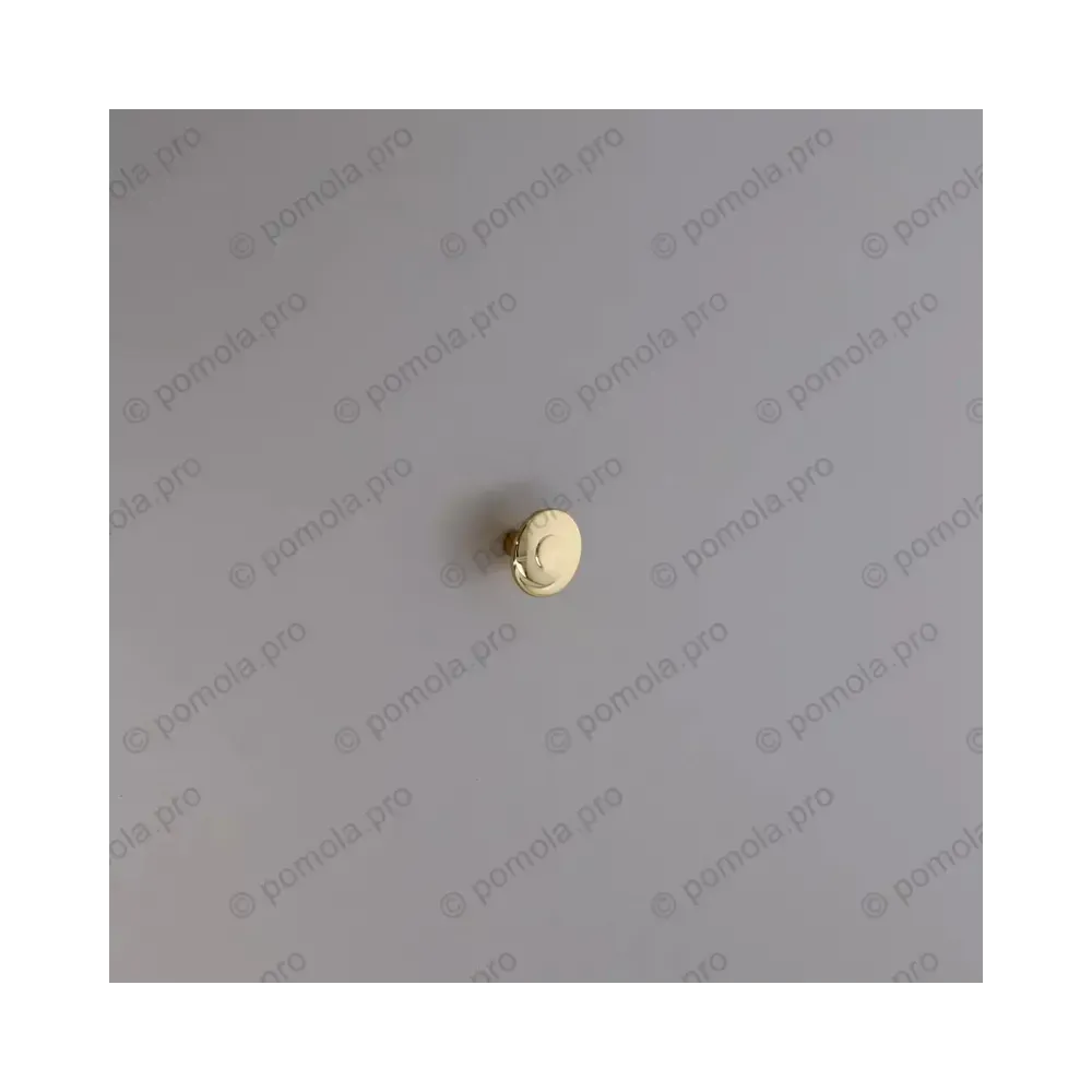 WPO.602-030-00GP ΠΟΜΟΛΑΚΙΑ ΕΠΙΠΛΩΝ ΕΠΙΧΡΥΣΑ 24κ