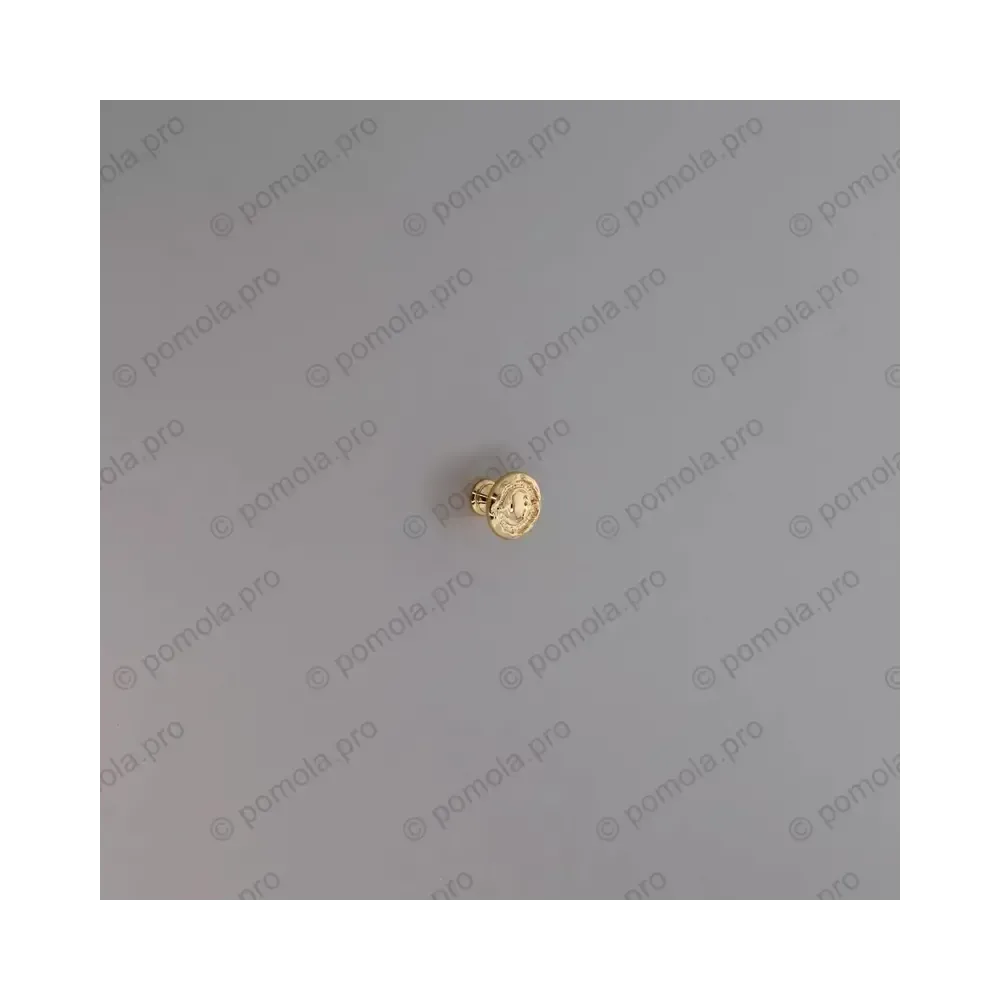 WPO.2032/25-00GP ΠΟΜΟΛΑΚΙΑ ΕΠΙΠΛΩΝ ΕΠΙΧΡΥΣΑ 24κ