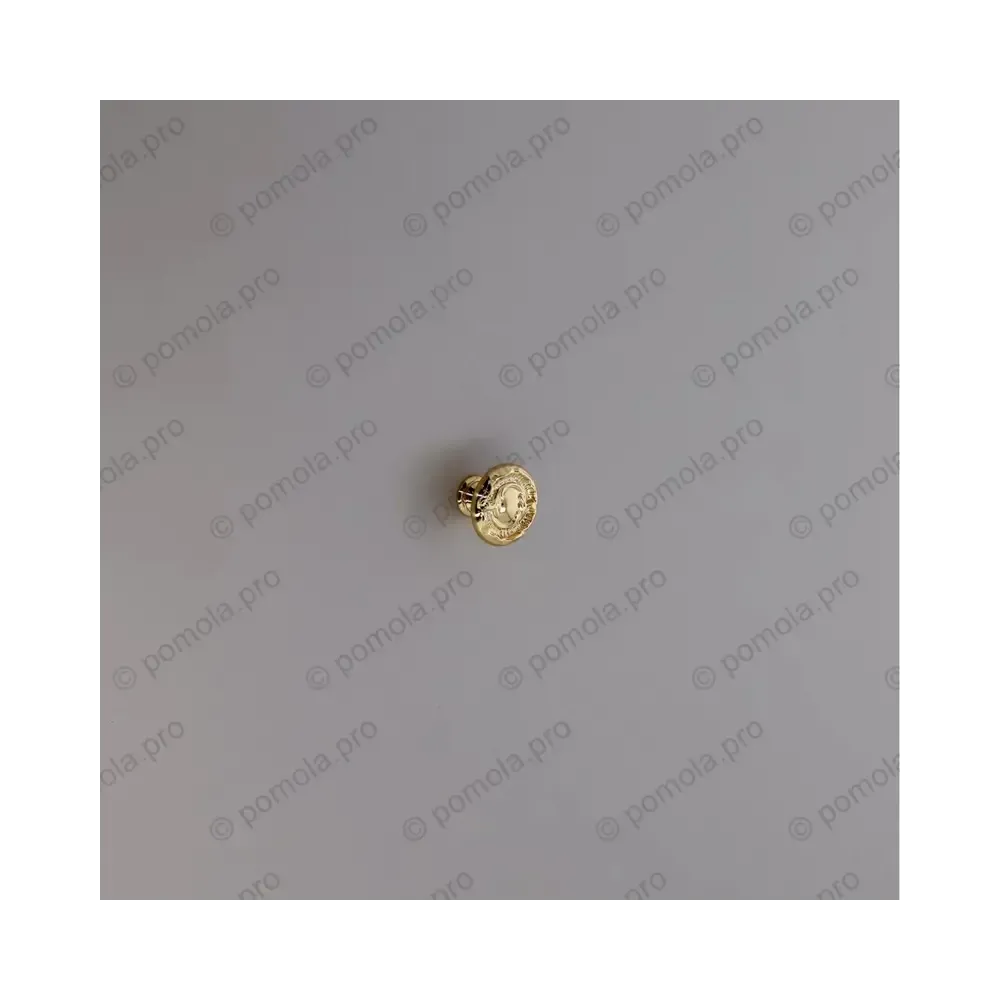 WPO.2032/30-00GP ΠΟΜΟΛΑΚΙΑ ΕΠΙΠΛΩΝ ΕΠΙΧΡΥΣΑ 24κ