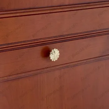 WPO.742-035-00GP ΠΟΜΟΛΑΚΙΑ ΕΠΙΠΛΩΝ ΕΠΙΧΡΥΣΑ