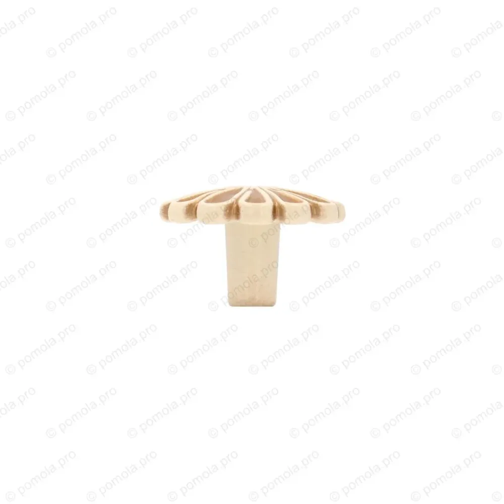 WPO.742-035-00V5 ΠΟΜΟΛΑΚΙΑ ΕΠΙΠΛΩΝ ΚΡΕΜ ΧΡΥΣΗ ΠΑΤΙΝΑ