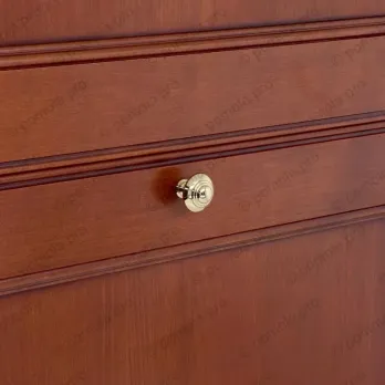 WPO.2031/30-00GP ΠΟΜΟΛΑΚΙΑ ΕΠΙΠΛΩΝ ΕΠΙΧΡΥΣΑ 24κ