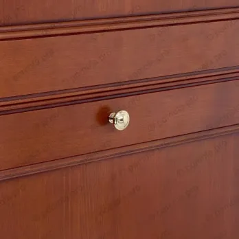 WPO.2025/25-00GP ΠΟΜΟΛΑΚΙΑ ΕΠΙΠΛΩΝ ΕΠΙΧΡΥΣΑ