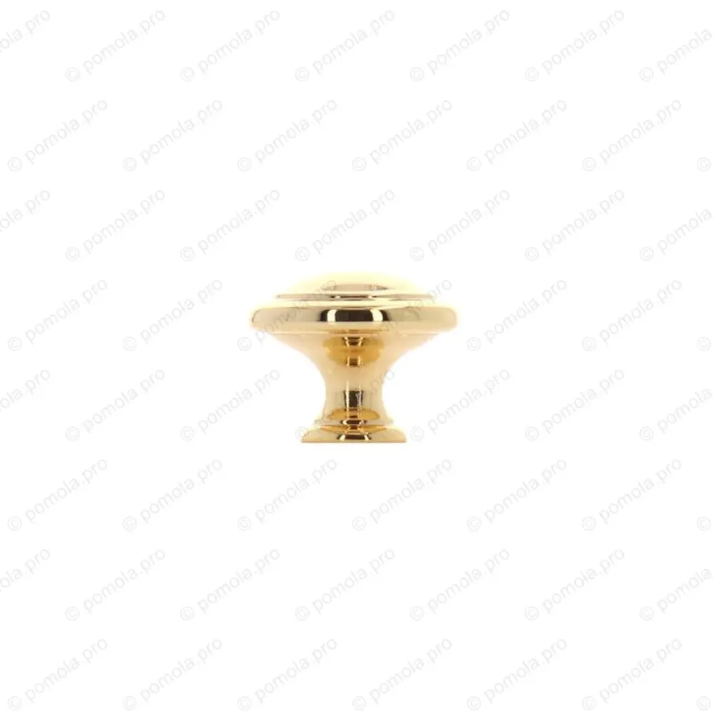 WPO.2025/30-00GP ΠΟΜΟΛΑΚΙΑ ΕΠΙΠΛΩΝ ΕΠΙΧΡΥΣΑ