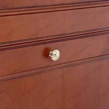 WPO.2025/30-00GP ΠΟΜΟΛΑΚΙΑ ΕΠΙΠΛΩΝ ΕΠΙΧΡΥΣΑ