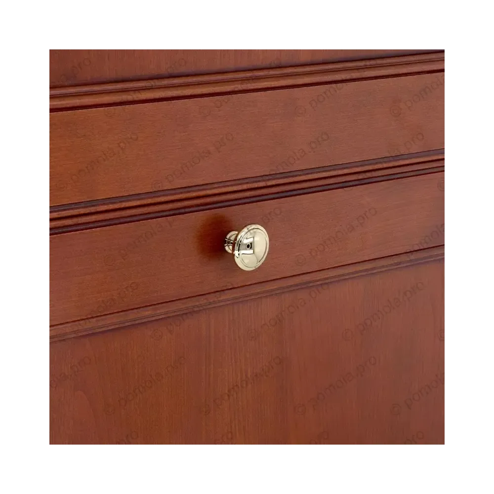 WPO.2025/35-00GP ΠΟΜΟΛΑΚΙΑ ΕΠΙΠΛΩΝ ΕΠΙΧΡΥΣΑ