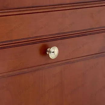 WPO.2025/35-00GP ΠΟΜΟΛΑΚΙΑ ΕΠΙΠΛΩΝ ΕΠΙΧΡΥΣΑ