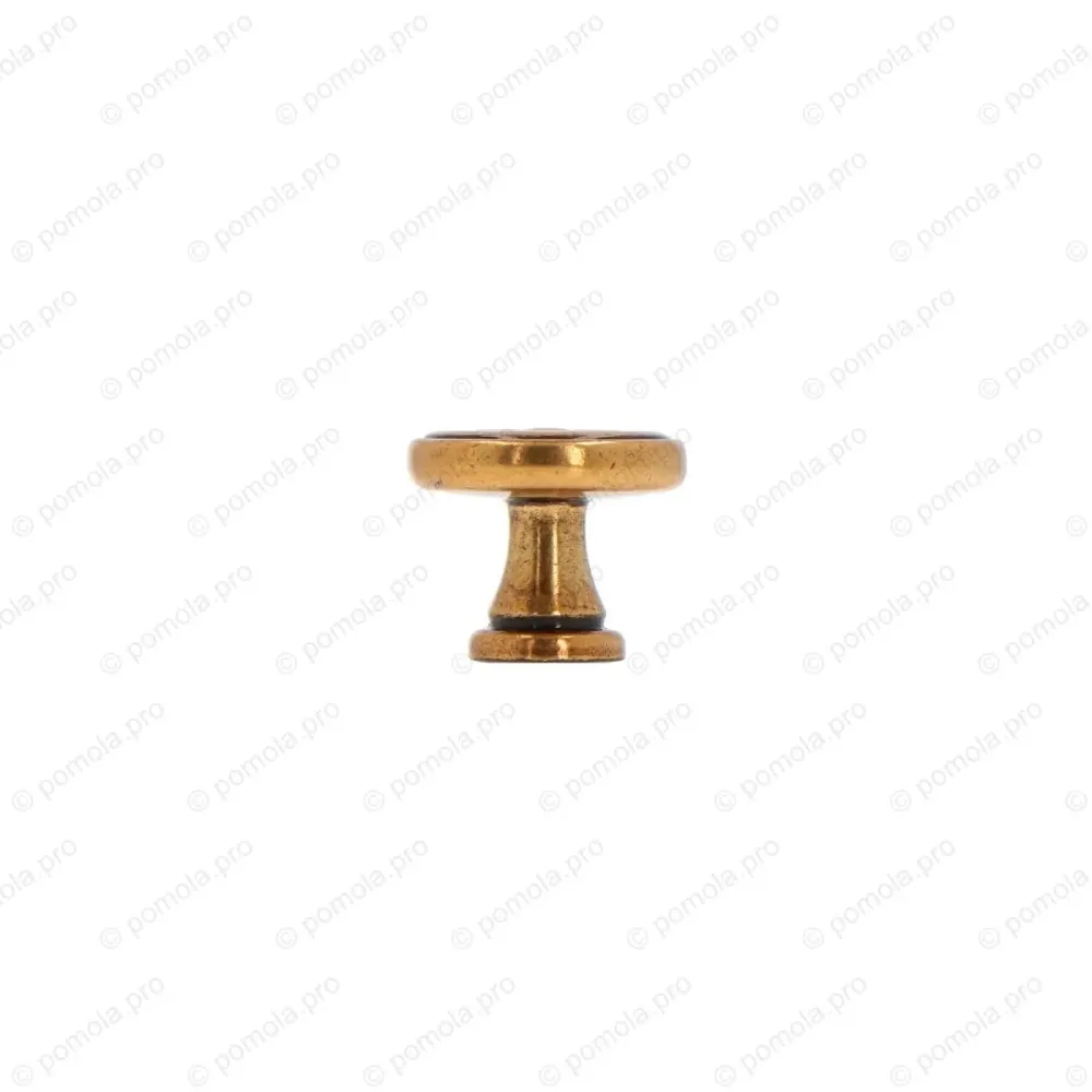 WPO.811-025-00A8 ΜΟΝΤΕΡΝΑ ΠΟΜΟΛΑΚΙΑ ΕΠΙΠΛΩΝ ΜΠΡΟΝΖΕ ΓΥΑΛΙΣΤΕΡΟ