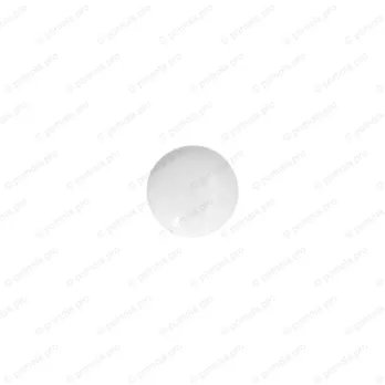 P05-00-00-0006 ΠΟΜΟΛΑΚΙΑ ΠΟΡΣΕΛΑΝΗΣ ΕΠΙΧΡΥΣΑ