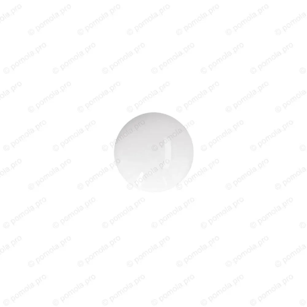 P04-00-00-0006 ΠΟΜΟΛΑΚΙΑ ΠΟΡΣΕΛΑΝΗΣ ΕΠΙΧΡΥΣΑ