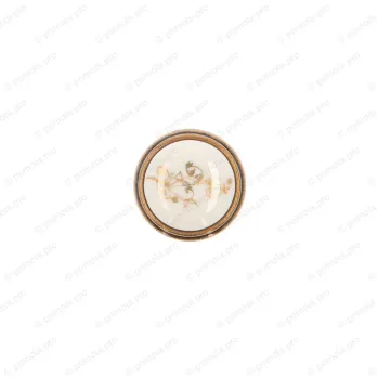 P77-01-F6-00A8 ΠΟΜΟΛΑΚΙΑ ΠΟΡΣΕΛΑΝΗΣ ΜΠΡΟΝΖΕ ΓΥΑΛΙΣΤΕΡΟ