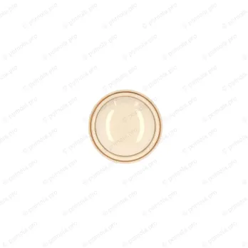 P77-01-00-00V5 ΠΟΜΟΛΑΚΙΑ ΠΟΡΣΕΛΑΝΗΣ ΚΡΕΜ ΧΡΥΣΗ ΠΑΤΙΝΑ