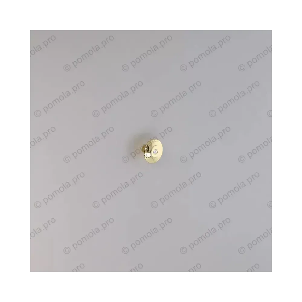 WPO.715-030-00GP ΠΟΜΟΛΑΚΙΑ ΜΕ ΚΡΥΣΤΑΛΟ ΕΠΙΧΡΥΣΑ