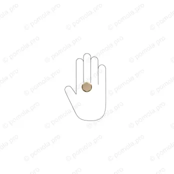 WPO.826-030-00D1 ΜΟΝΤΕΡΝΑ ΠΟΜΟΛΑΚΙΑ ΕΠΙΠΛΩΝ ΜΠΡΟΝΖΕ