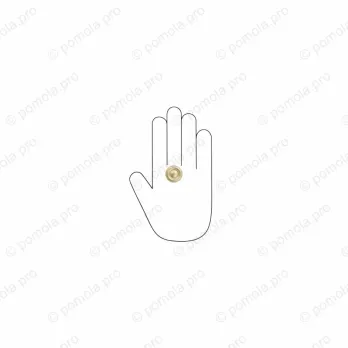 WPO.811-025-006C ΜΟΝΤΕΡΝΑ ΠΟΜΟΛΑΚΙΑ ΕΠΙΠΛΩΝ ΧΡΥΣΟ ΜΑΤ ΣΑΤΙΝΕ