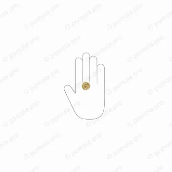 WPO.811-025-00GP ΜΟΝΤΕΡΝΑ ΠΟΜΟΛΑΚΙΑ ΕΠΙΠΛΩΝ ΕΠΙΧΡΥΣΑ