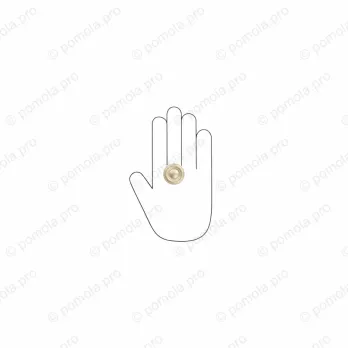 WPO.811-031-006C ΜΟΝΤΕΡΝΑ ΠΟΜΟΛΑΚΙΑ ΕΠΙΠΛΩΝ ΧΡΥΣΟ ΜΑΤ ΣΑΤΙΝΕ