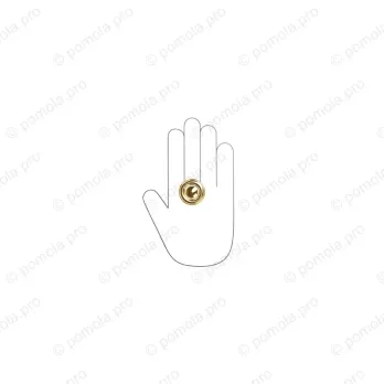 WPO.811-031-00GP ΜΟΝΤΕΡΝΑ ΠΟΜΟΛΑΚΙΑ ΕΠΙΠΛΩΝ ΕΠΙΧΡΥΣΑ