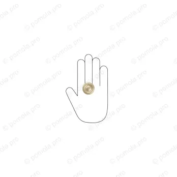 WPO.811-035-006C ΜΟΝΤΕΡΝΑ ΠΟΜΟΛΑΚΙΑ ΕΠΙΠΛΩΝ ΧΡΥΣΟ ΜΑΤ ΣΑΤΙΝΕ