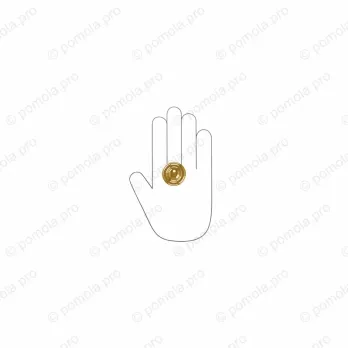 WPO.811-035-00GP ΜΟΝΤΕΡΝΑ ΠΟΜΟΛΑΚΙΑ ΕΠΙΠΛΩΝ ΕΠΙΧΡΥΣΑ