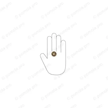 WPO.841-025-00D1 ΜΟΝΤΕΡΝΑ ΠΟΜΟΛΑΚΙΑ ΕΠΙΠΛΩΝ ΜΠΡΟΝΖΕ