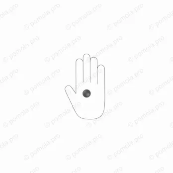 WPO.841-025-00N4 ΜΟΝΤΕΡΝΑ ΠΟΜΟΛΑΚΙΑ ΕΠΙΠΛΩΝ ΜΑΥΡΟ ΜΑΤ