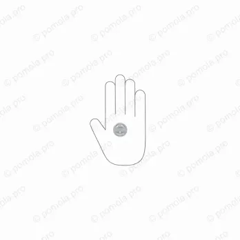 WPO.841-031-0002 ΜΟΝΤΕΡΝΑ ΠΟΜΟΛΑΚΙΑ ΕΠΙΠΛΩΝ ΧΡΩΜΙΟ ΓΥΑΛΙΣΤΕΡΟ