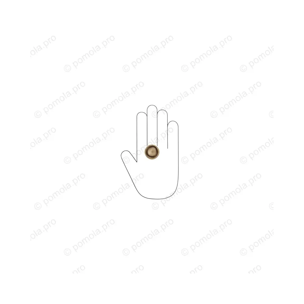 WPO.841-031-00D1 ΜΟΝΤΕΡΝΑ ΠΟΜΟΛΑΚΙΑ ΕΠΙΠΛΩΝ ΜΠΡΟΝΖΕ