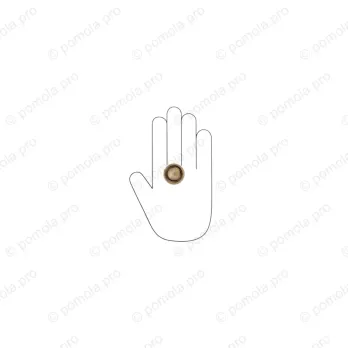 WPO.841-031-00D1 ΜΟΝΤΕΡΝΑ ΠΟΜΟΛΑΚΙΑ ΕΠΙΠΛΩΝ ΜΠΡΟΝΖΕ