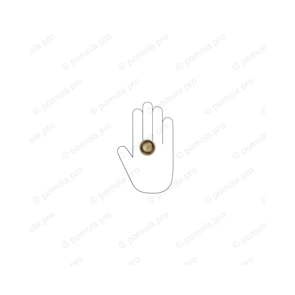 WPO.841-035-00D1 ΜΟΝΤΕΡΝΑ ΠΟΜΟΛΑΚΙΑ ΕΠΙΠΛΩΝ ΜΠΡΟΝΖΕ