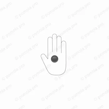 WPO.841-035-00N4 ΜΟΝΤΕΡΝΑ ΠΟΜΟΛΑΚΙΑ ΕΠΙΠΛΩΝ ΜΑΥΡΟ ΜΑΤ