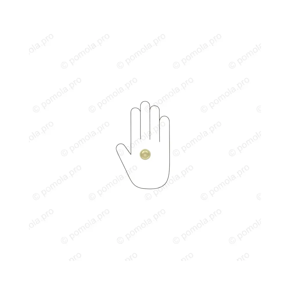 WPO.841-025-006C ΜΟΝΤΕΡΝΑ ΠΟΜΟΛΑΚΙΑ ΕΠΙΠΛΩΝ ΧΡΥΣΟ ΜΑΤ ΣΑΤΙΝΕ