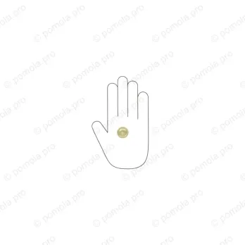 WPO.841-025-006C ΜΟΝΤΕΡΝΑ ΠΟΜΟΛΑΚΙΑ ΕΠΙΠΛΩΝ ΧΡΥΣΟ ΜΑΤ ΣΑΤΙΝΕ