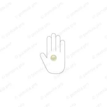 WPO.841-031-006C ΜΟΝΤΕΡΝΑ ΠΟΜΟΛΑΚΙΑ ΕΠΙΠΛΩΝ ΧΡΥΣΟ ΜΑΤ ΣΑΤΙΝΕ