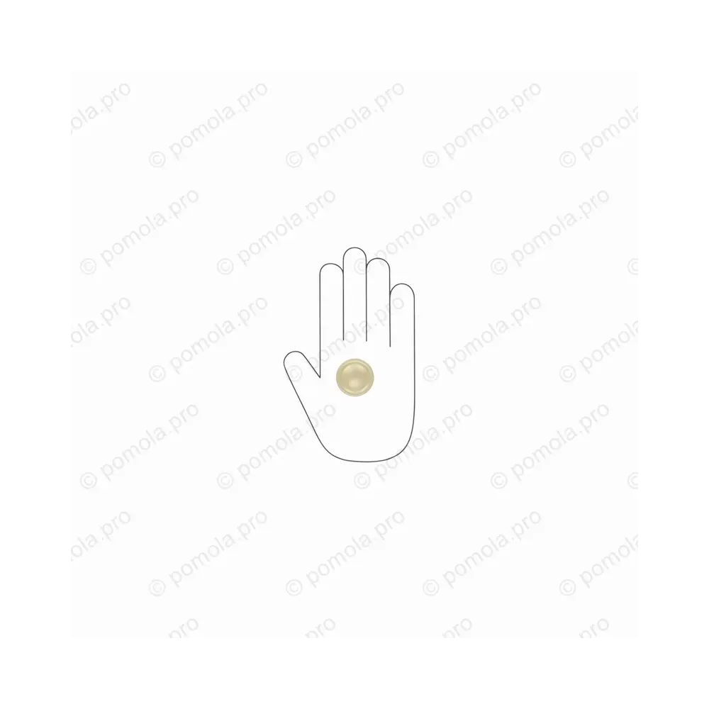 WPO.841-035-006C ΜΟΝΤΕΡΝΑ ΠΟΜΟΛΑΚΙΑ ΕΠΙΠΛΩΝ ΧΡΥΣΟ ΜΑΤ ΣΑΤΙΝΕ