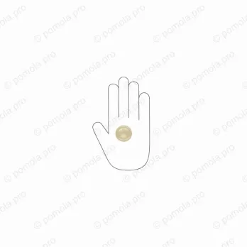 WPO.841-035-006C ΜΟΝΤΕΡΝΑ ΠΟΜΟΛΑΚΙΑ ΕΠΙΠΛΩΝ ΧΡΥΣΟ ΜΑΤ ΣΑΤΙΝΕ