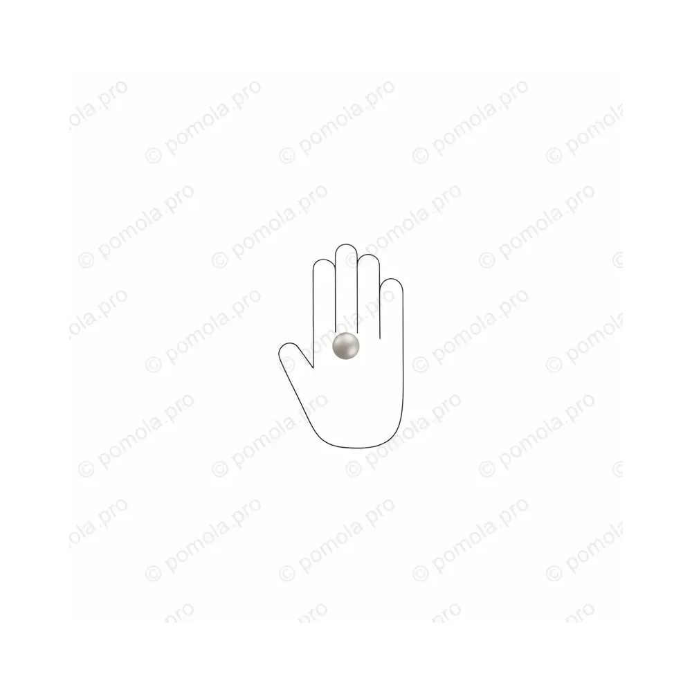 WPO.2024/25-006B ΜΟΝΤΕΡΝΑ ΠΟΜΟΛΑΚΙΑ ΕΠΙΠΛΩΝ ΑΣΗΜΙ