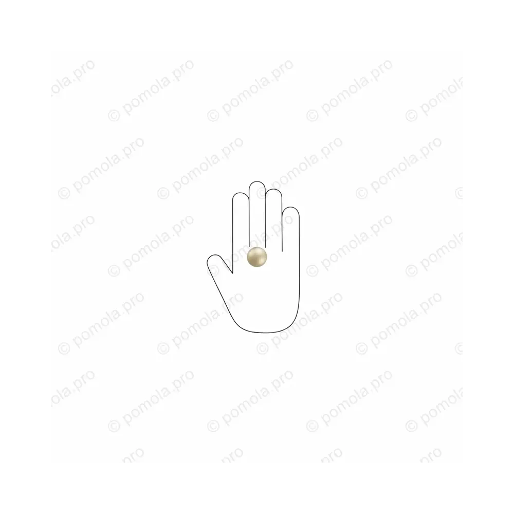 WPO.2024/25-006C ΜΟΝΤΕΡΝΑ ΠΟΜΟΛΑΚΙΑ ΕΠΙΠΛΩΝ ΧΡΥΣΟ ΜΑΤ ΣΑΤΙΝΕ