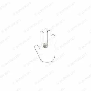 WPO.2024/30-006B ΜΟΝΤΕΡΝΑ ΠΟΜΟΛΑΚΙΑ ΕΠΙΠΛΩΝ ΑΣΗΜΙ