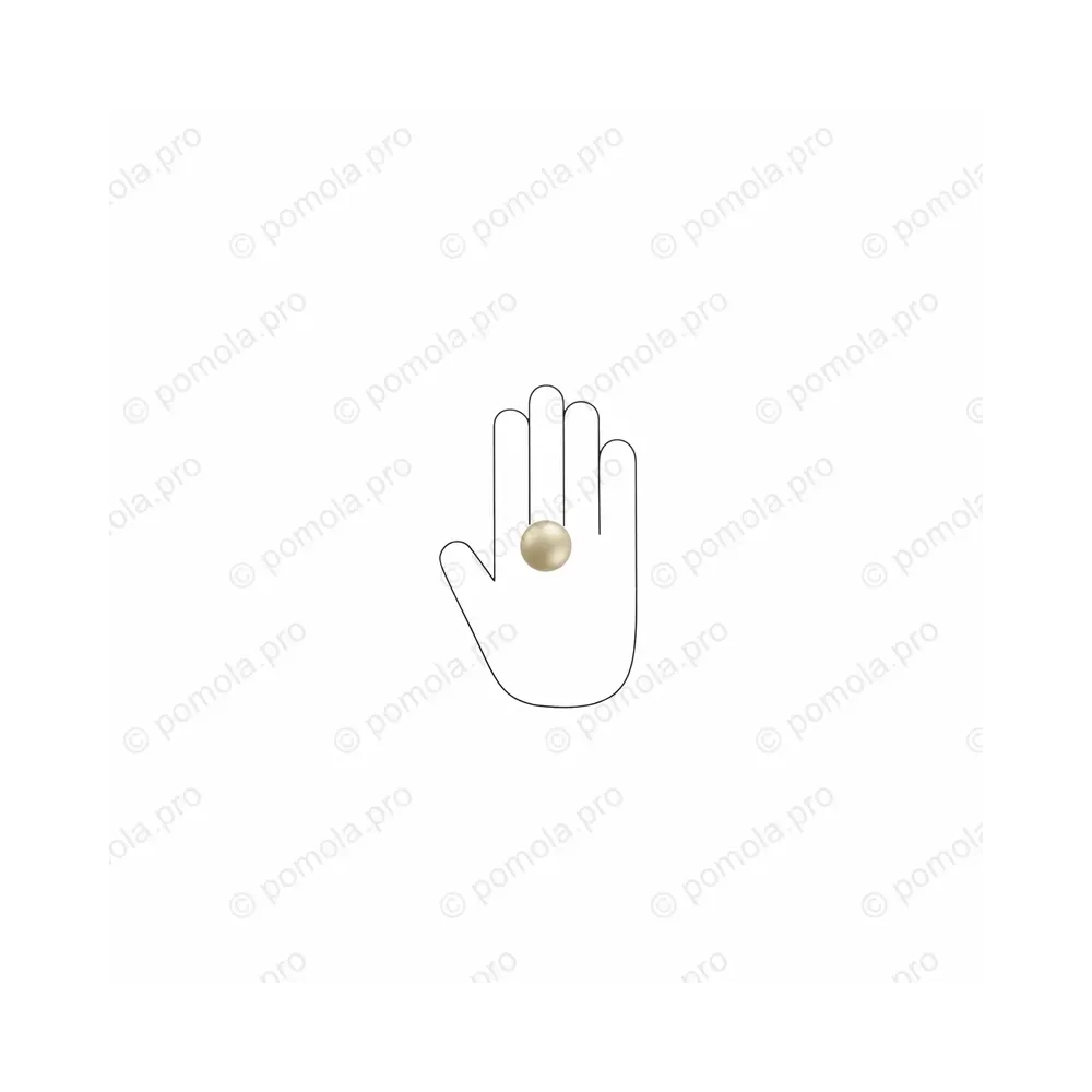 WPO.2024/30-006C ΜΟΝΤΕΡΝΑ ΠΟΜΟΛΑΚΙΑ ΕΠΙΠΛΩΝ ΧΡΥΣΟ ΜΑΤ ΣΑΤΙΝΕ