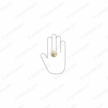 WPO.2024/30-006C ΜΟΝΤΕΡΝΑ ΠΟΜΟΛΑΚΙΑ ΕΠΙΠΛΩΝ ΧΡΥΣΟ ΜΑΤ ΣΑΤΙΝΕ