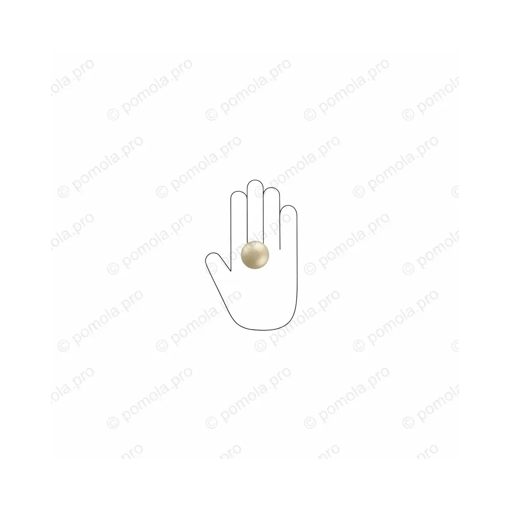 WPO.2024/35-006C ΜΟΝΤΕΡΝΑ ΠΟΜΟΛΑΚΙΑ ΕΠΙΠΛΩΝ ΧΡΥΣΟ ΜΑΤ ΣΑΤΙΝΕ