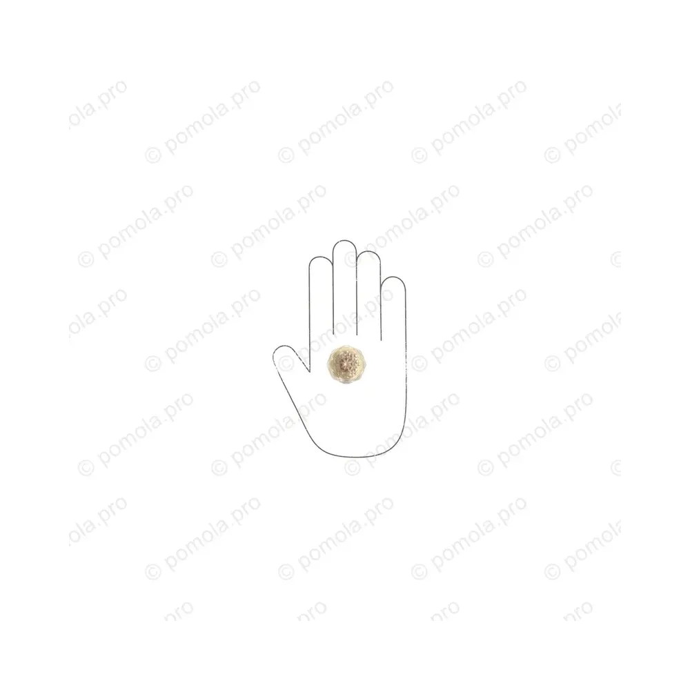 HZP.678-R33-KRGP ΠΟΜΟΛΑΚΙΑ ΜΕ ΚΡΥΣΤΑΛΟ ΕΠΙΧΡΥΣΑ