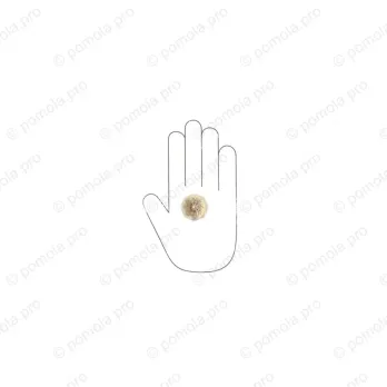 HZP.678-R33-KRGP ΠΟΜΟΛΑΚΙΑ ΜΕ ΚΡΥΣΤΑΛΟ ΕΠΙΧΡΥΣΑ