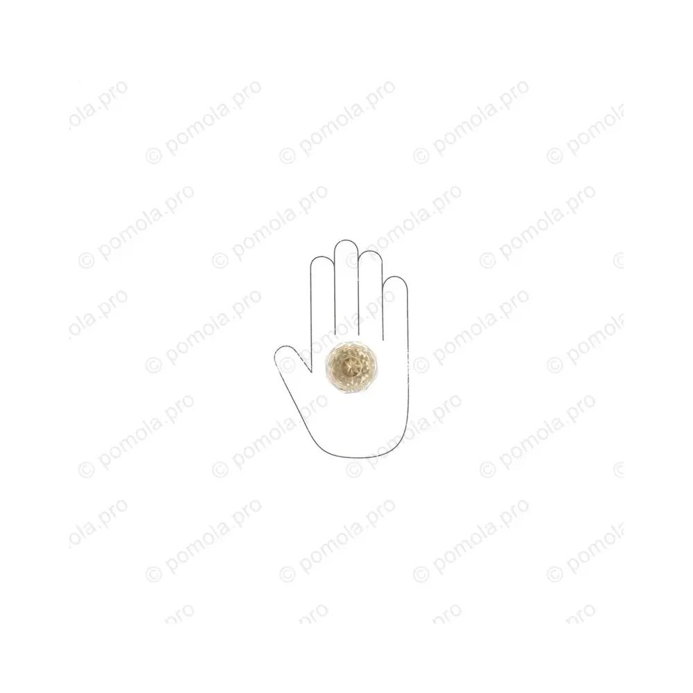 HZP.678-R45-KRGP ΠΟΜΟΛΑΚΙΑ ΜΕ ΚΡΥΣΤΑΛΟ ΕΠΙΧΡΥΣΑ