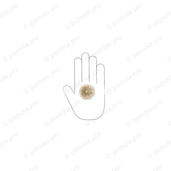 HZP.678-R45-KRGP ΠΟΜΟΛΑΚΙΑ ΜΕ ΚΡΥΣΤΑΛΟ ΕΠΙΧΡΥΣΑ