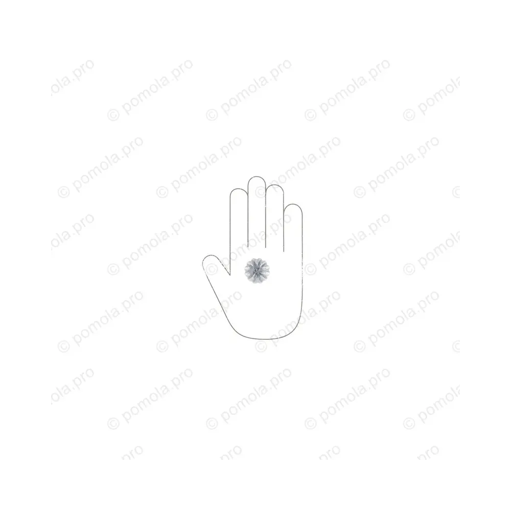 HZP.680-030-KR02 ΠΟΜΟΛΑΚΙΑ ΜΕ ΚΡΥΣΤΑΛΟ ΧΡΩΜΙΟ ΓΥΑΛΙΣΤΕΡΟ