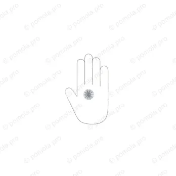 HZP.680-030-KR02 ΠΟΜΟΛΑΚΙΑ ΜΕ ΚΡΥΣΤΑΛΟ ΧΡΩΜΙΟ ΓΥΑΛΙΣΤΕΡΟ